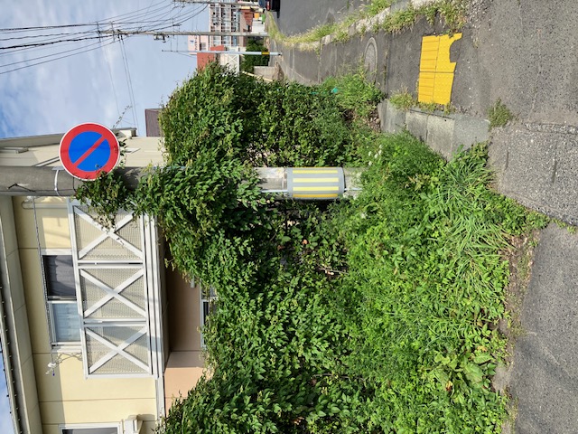 画像の説明