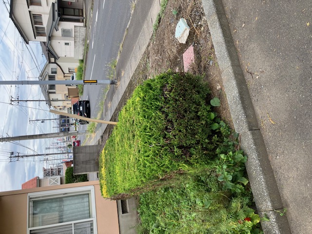 八戸　枝切り　剪定