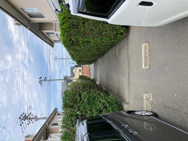 八戸　枝切り　剪定