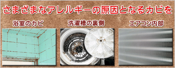 ハウスクリーニング 八戸おそうじキュットワン