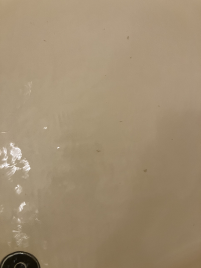 八戸 風呂釜洗浄 八戸 風呂釜洗浄